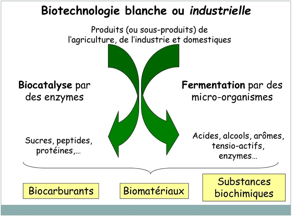 Microbiologie industrielle